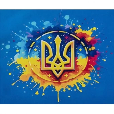 Алмазний живопис 40х50 IMAGE96 у картонній коробці