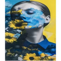 Алмазний живопис 40х50 IMAGE108 у картонній коробці