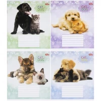 Зошит кольоровий 12 аркушів, коса лінія з додатковою лінією 3485N