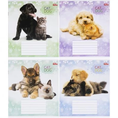 Зошит кольоровий 12 аркушів, коса лінія з додатковою лінією 3485N