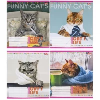 Зошит кольоровий 12 аркушів, лінія 3431