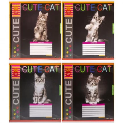 Зошит кольоровий 12 листів, клітина 3701