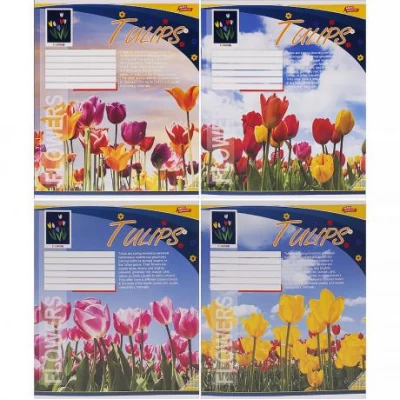 Зошит кольоровий 18 аркушів, клітинка 3712