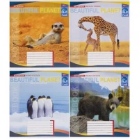 Зошит кольоровий 24 аркуші, клітинка 3725 N