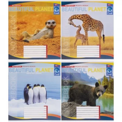 Зошит кольоровий 24 аркуші, клітинка 3725 N