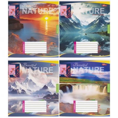 Зошит кольоровий 24 аркуші, клітинка 3726 N