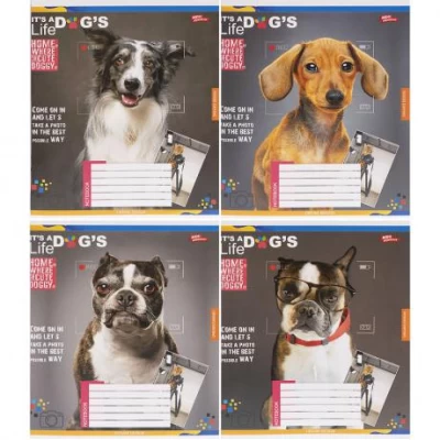 Зошит кольоровий 24 аркуші, клітинка 3727 N