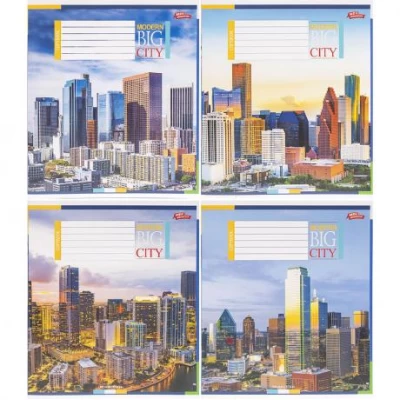 Зошит кольоровий 24 аркуші, клітинка 3728 N