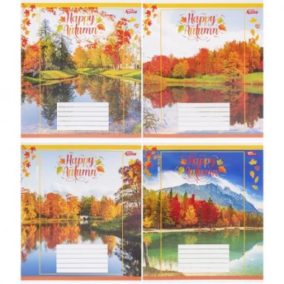 Зошит кольоровий 24 аркуші, лінія 3732 N