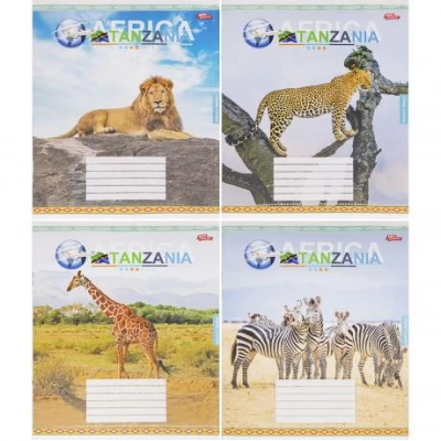 Зошит кольоровий 18 аркушів, лінія 3719