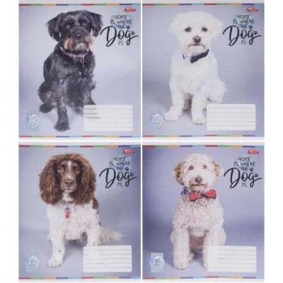 Зошит кольоровий 12 аркушів, лінія 3707