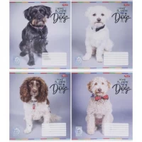 Зошит кольоровий 12 аркушів, коса з доп.лініей 3707