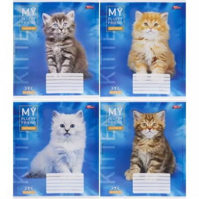 Зошит кольоровий 12 аркушів, коса з доп.лініей 3708