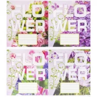 Зошит кольоровий 12 аркушів, коса з доп.лініей 3722