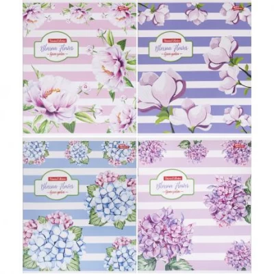 Зошит кольоровий 48 аркушів, клітинка 3736