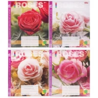 Зошит кольоровий 48 аркушів, клітинка 3781