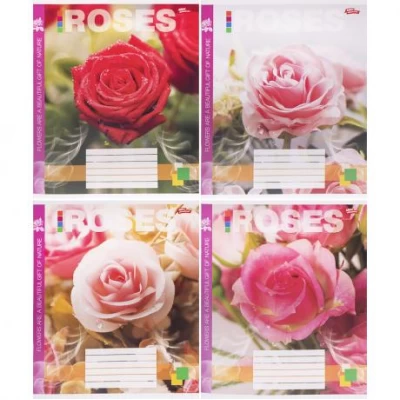 Зошит кольоровий 48 аркушів, клітинка 3781