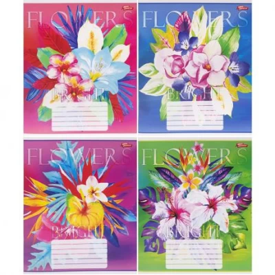 Зошит кольоровий 48 аркушів, клітинка 3787