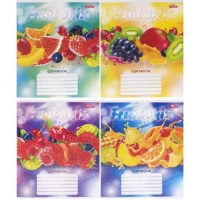 Зошит кольоровий 48 аркушів, клітинка 3788