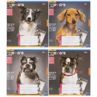 Зошит кольоровий 96 аркушів, клітинка 3727