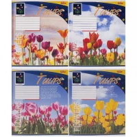 Зошит кольоровий 48 аркушів, клітинка 3784