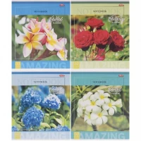 Зошит кольоровий 60 листів, клітина 3770