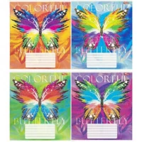 Зошит кольоровий 24 листи, клітина 3780