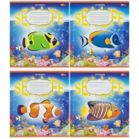 Зошит кольоровий 12 листів, клітина 3773