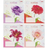 Зошит кольоровий 36 аркушів, клітинка 3752