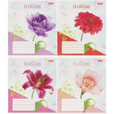 Зошит кольоровий 36 аркушів, клітинка 3752