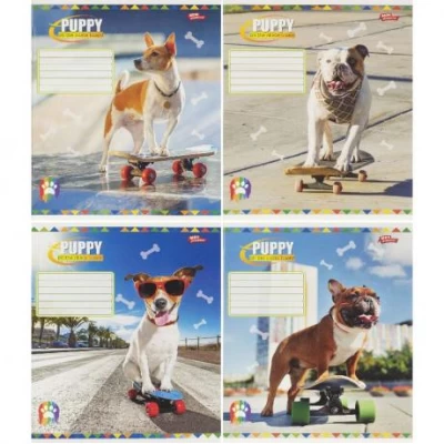 Зошит кольоровий 36 аркушів, клітинка 3754