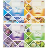 Зошит кольоровий 48 аркушів, клітинка 3809