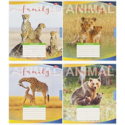 Зошит кольоровий 48 аркушів, клітинка 3810