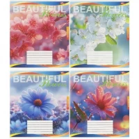 Зошит кольоровий 48 аркушів, клітинка 3813