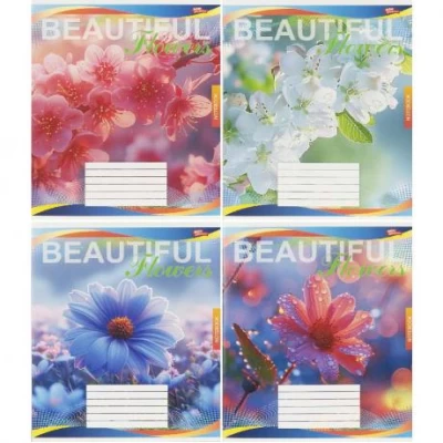 Зошит кольоровий 48 аркушів, клітинка 3813