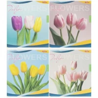 Зошит кольоровий 96 аркушів, клітинка 3791