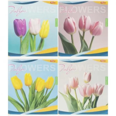 Зошит кольоровий 96 аркушів, клітинка 3791