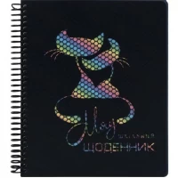 Щоденник A5 УКР на СПІРАЛІ, пластикова прозора обкладинка  SD1951