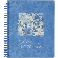 Щоденник A5 УКР на СПІРАЛІ, пластикова прозора обкладинка  SD1953