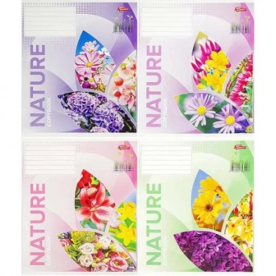 Зошит кольоровий 36 аркушів, лінія 3816