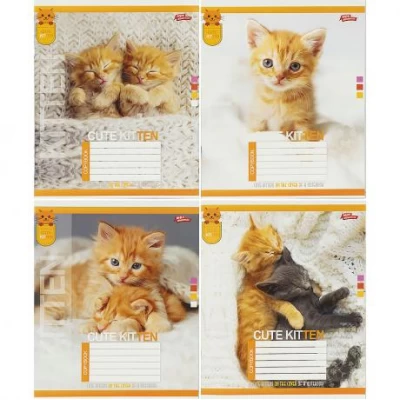 Зошит кольоровий 24 аркуші, клітинка 3805 N