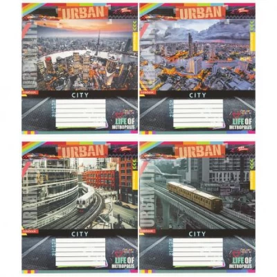 Зошит кольоровий 24 аркуші, клітинка 3803 N