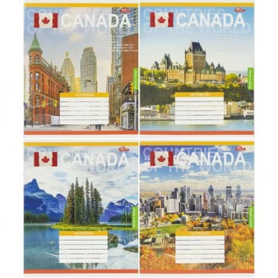 Зошит кольоровий 24 аркуші, клітинка 3804 N