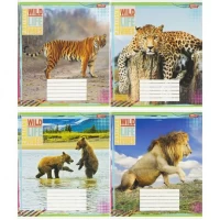 Зошит кольоровий 24 листи, клітина 3807