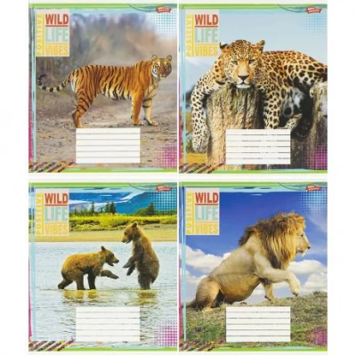 Зошит кольоровий 24 листи, клітина 3807