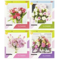 Зошит кольоровий 96 аркушів, клітинка 3823