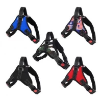 Шлея для домашніх вихованців L 702