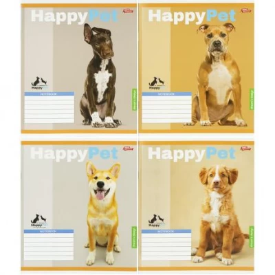 Зошит кольоровий 18 аркушів, клітинка 3855к