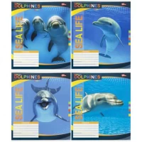 Зошит кольоровий 18 аркушів, лінія 3859