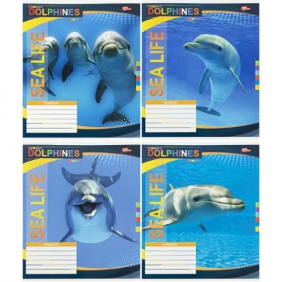 Зошит кольоровий 18 аркушів, лінія 3859